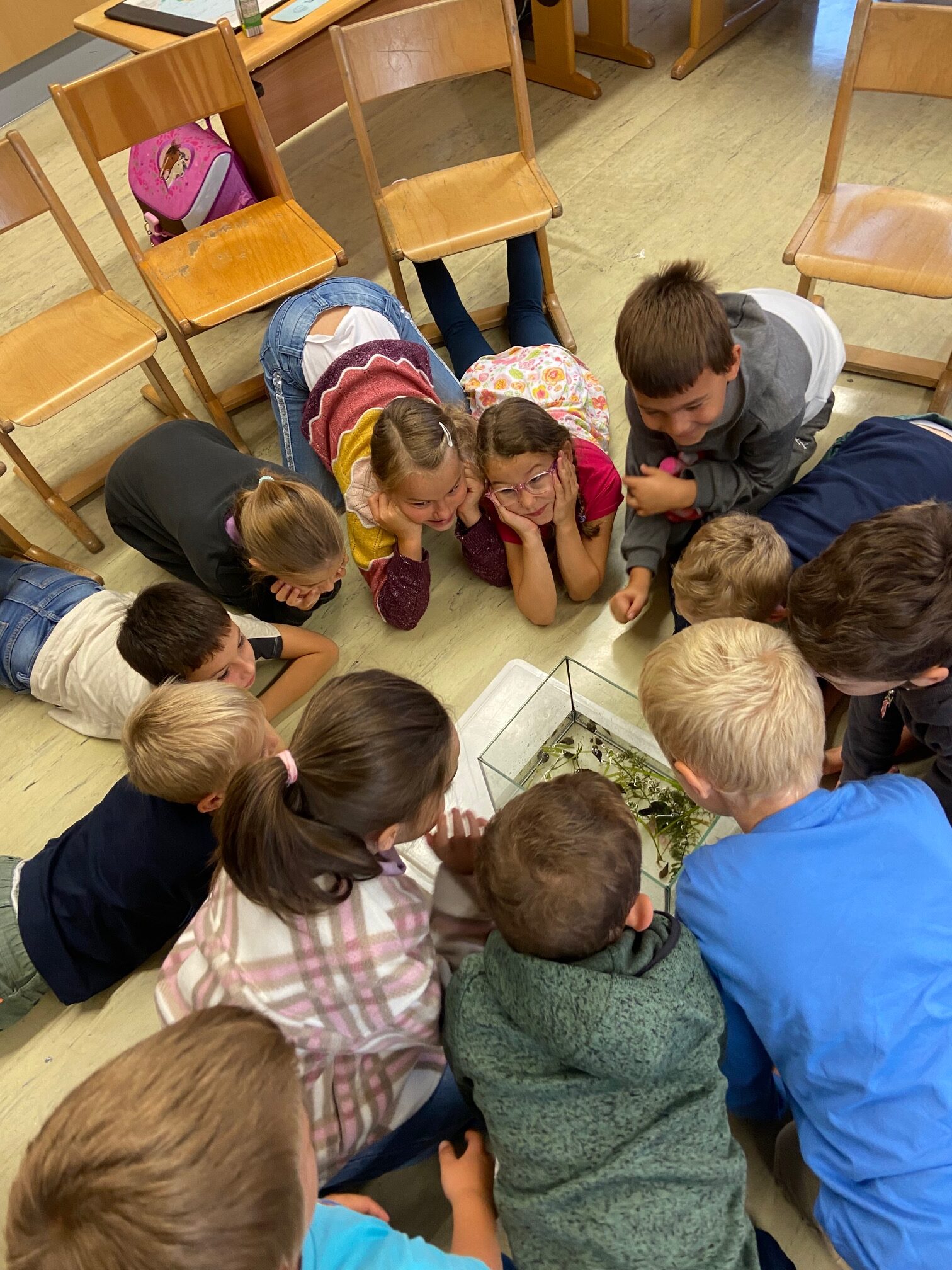 Das schwimmende Klassenzimmer!